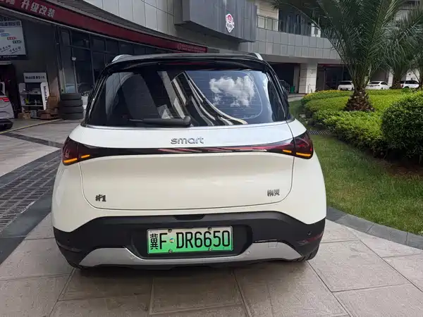 smart #1 2024