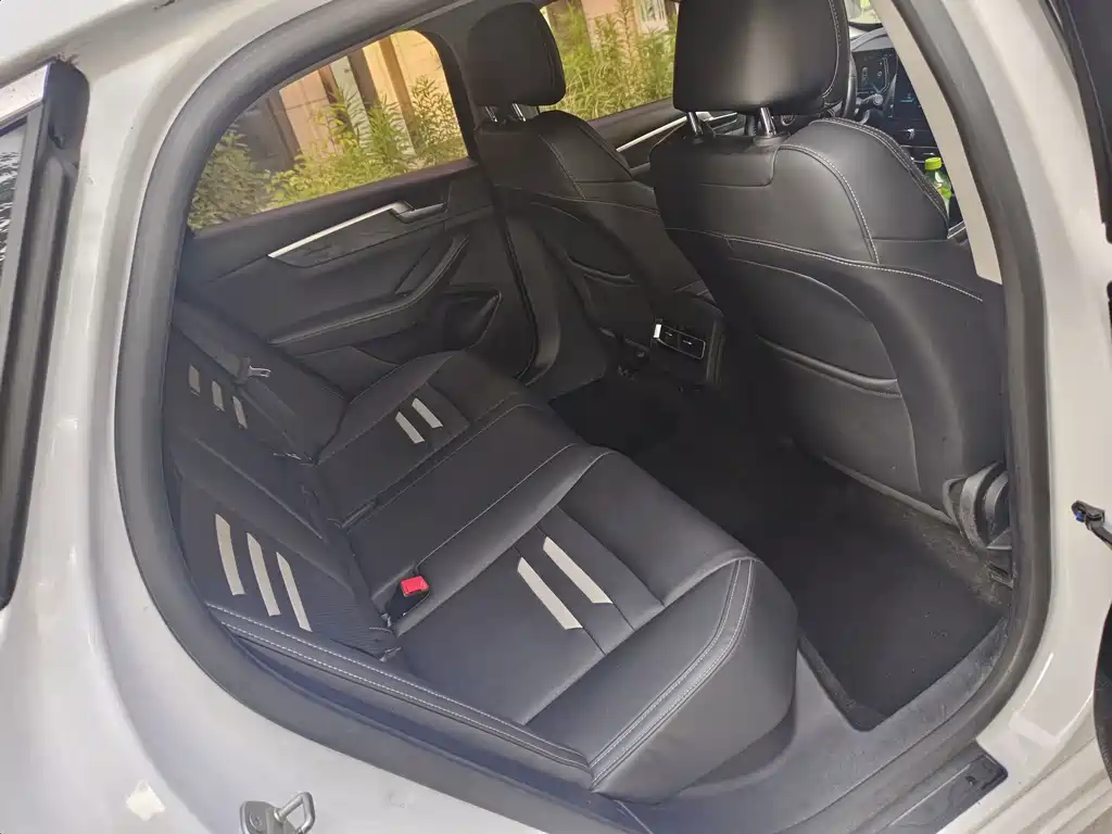 BYD Qin Pro New Energy 2018 — фото 6