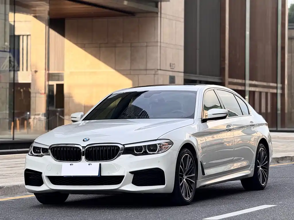 BMW 5 Series 2019