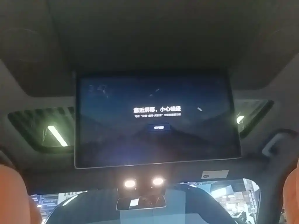 Li Auto L9 2024 — фото 18