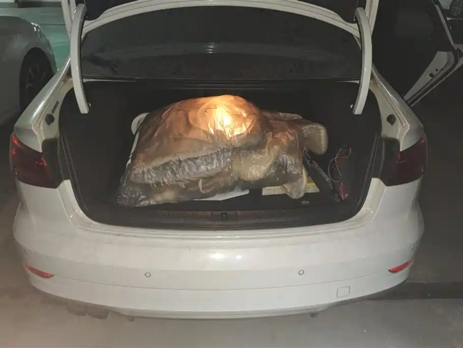 Audi A3 2019