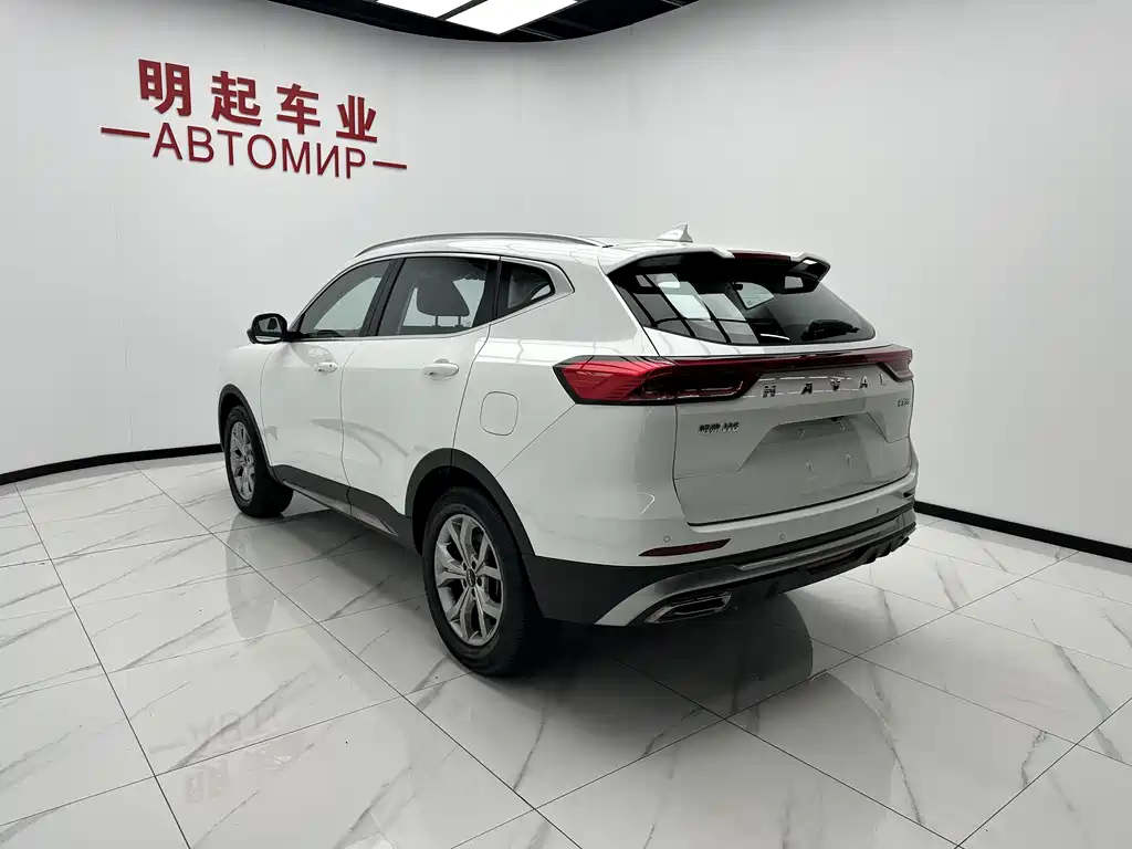 Haval H6 2021 — фото 8