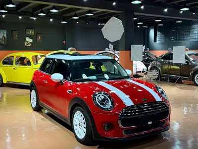 MINI MINI 2020