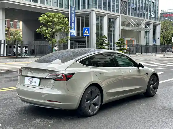 Tesla Model 3 2020