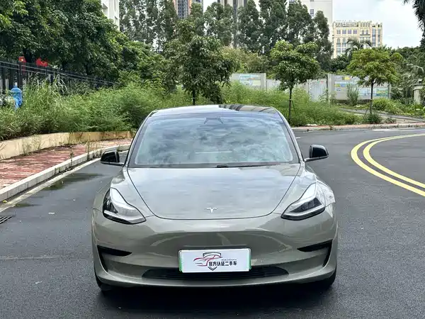 Tesla Model 3 2020
