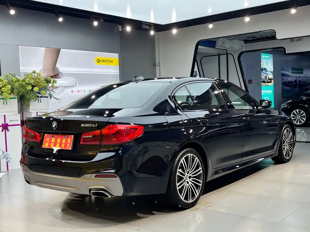 BMW 5 Series 2019 — фото 15