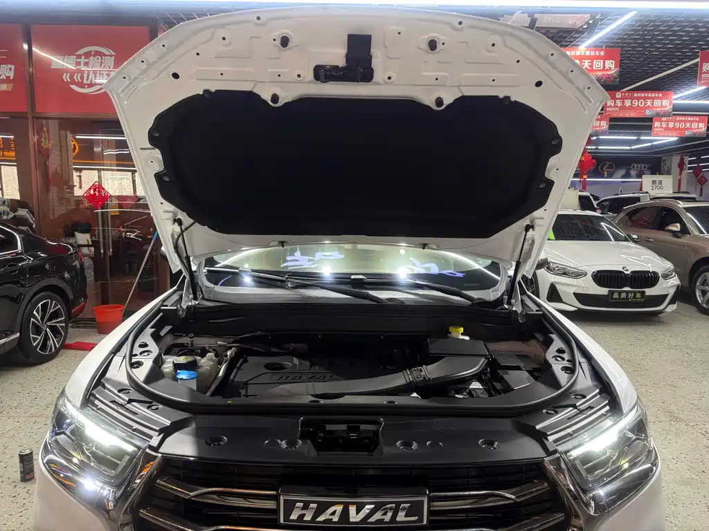 Haval H6 2022 — фото 16