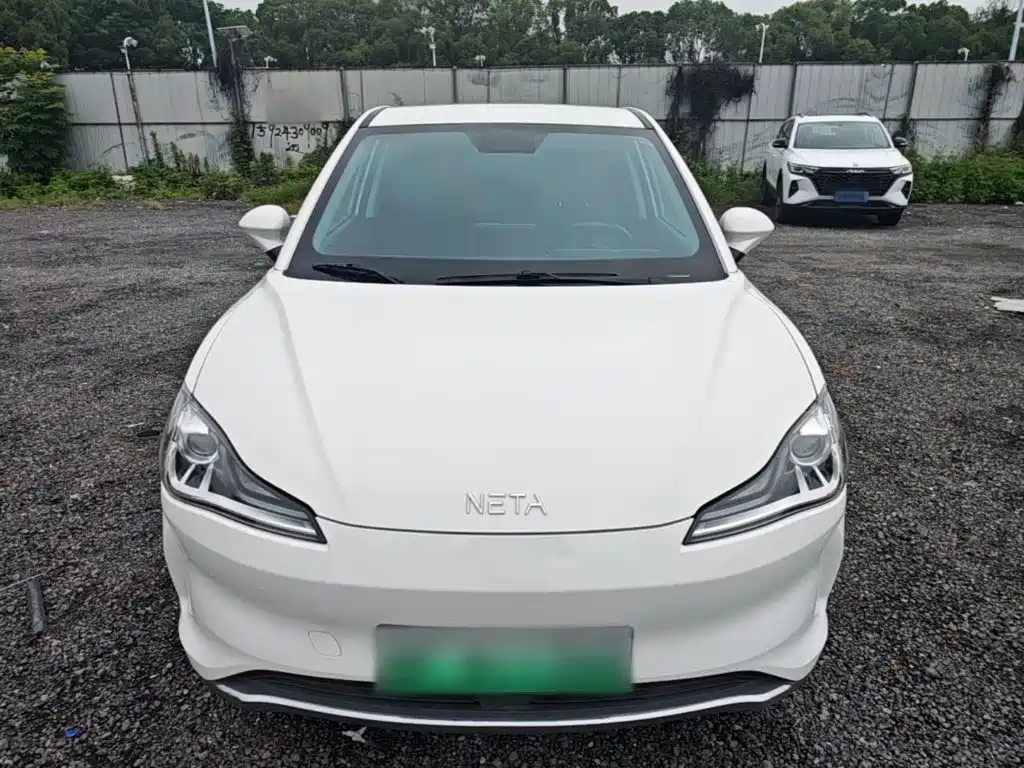 Neta V 2024