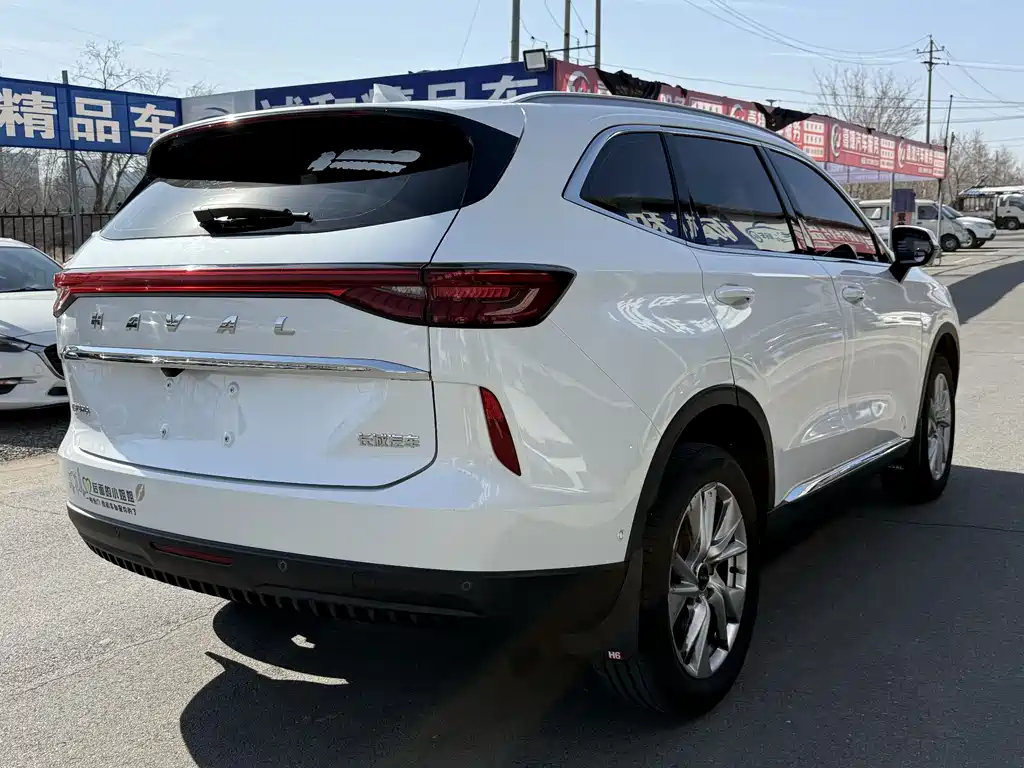 Haval H6 2021 — фото 7