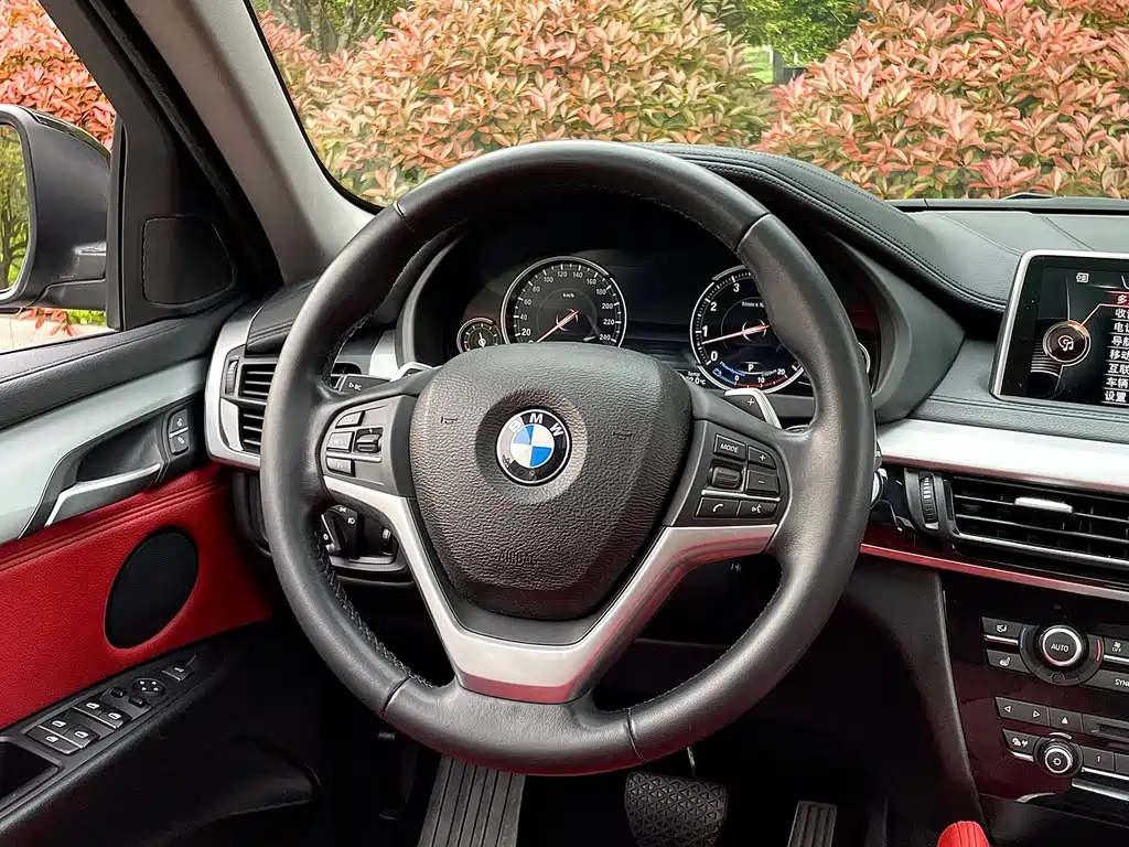 BMW X6 2017 — фото 8