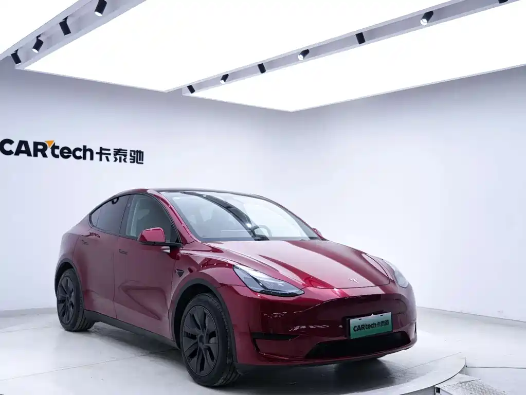 Tesla Model Y 2024 — фото 9