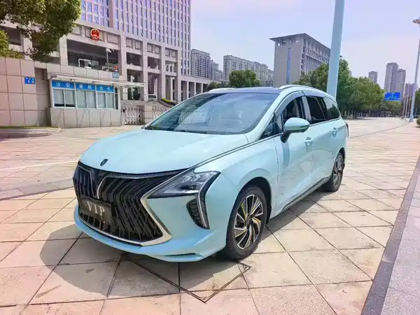 Dongfeng Popular Yacht 2022