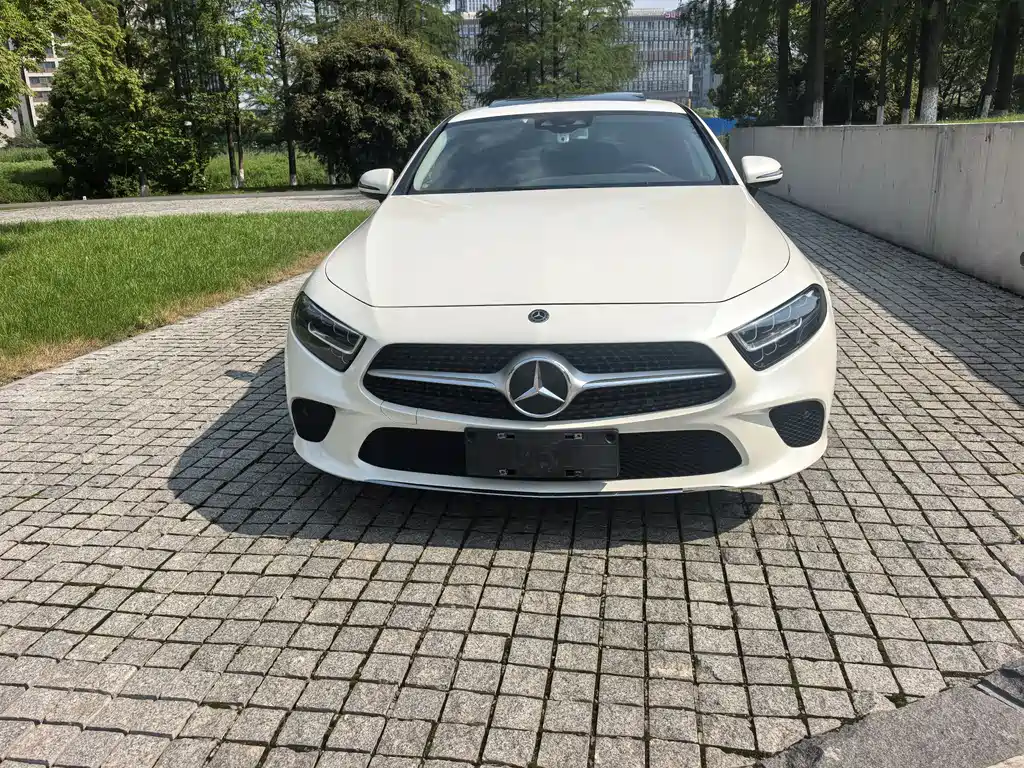 Mercedes-Benz CLS 2019 — фото 2