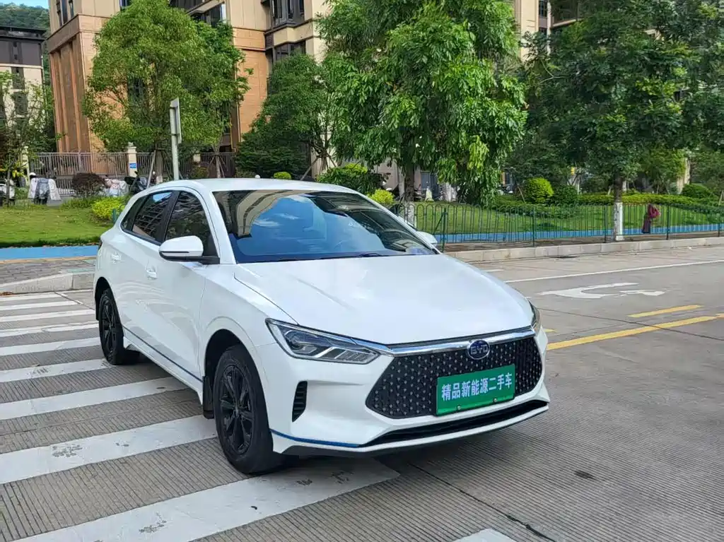 BYD e2 2022