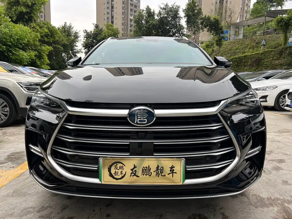 BYD Tang New Energy 2023 — фото 2
