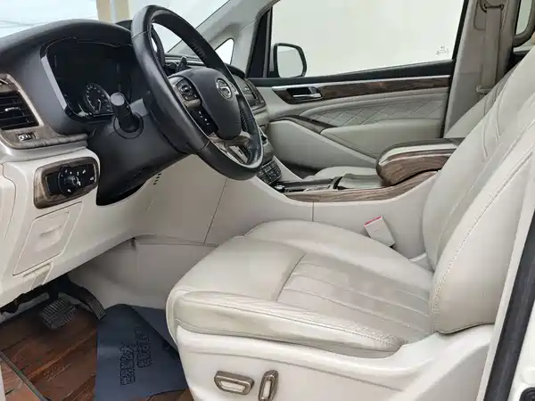 GAC Trumpchi M8 2019