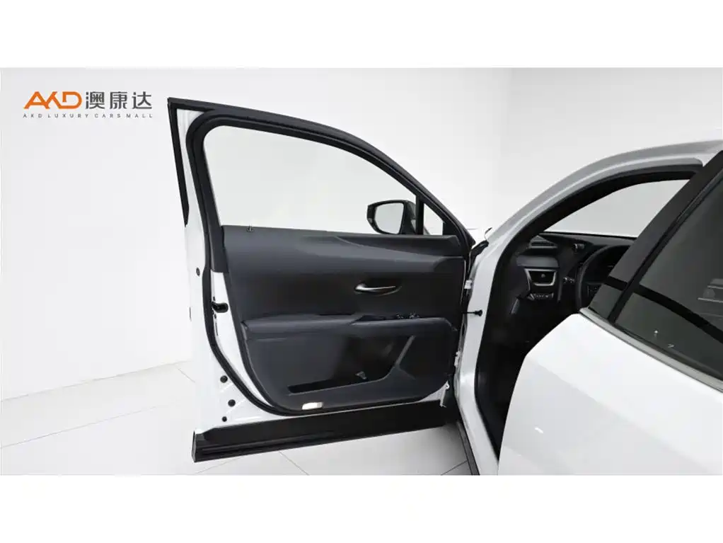 Lexus UX 2019 — фото 10