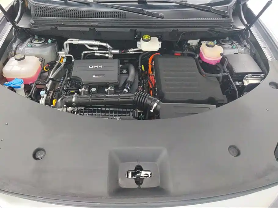 BYD Song Pro New Energy 2024 — фото 10