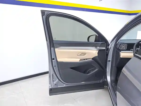 BYD Song Pro New Energy 2024