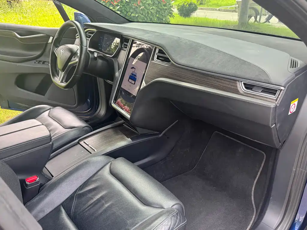 Tesla Model X 2016 — фото 10