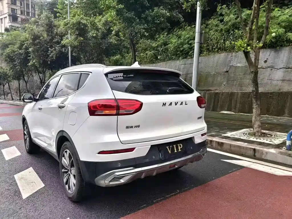Haval H6 2021 — фото 9