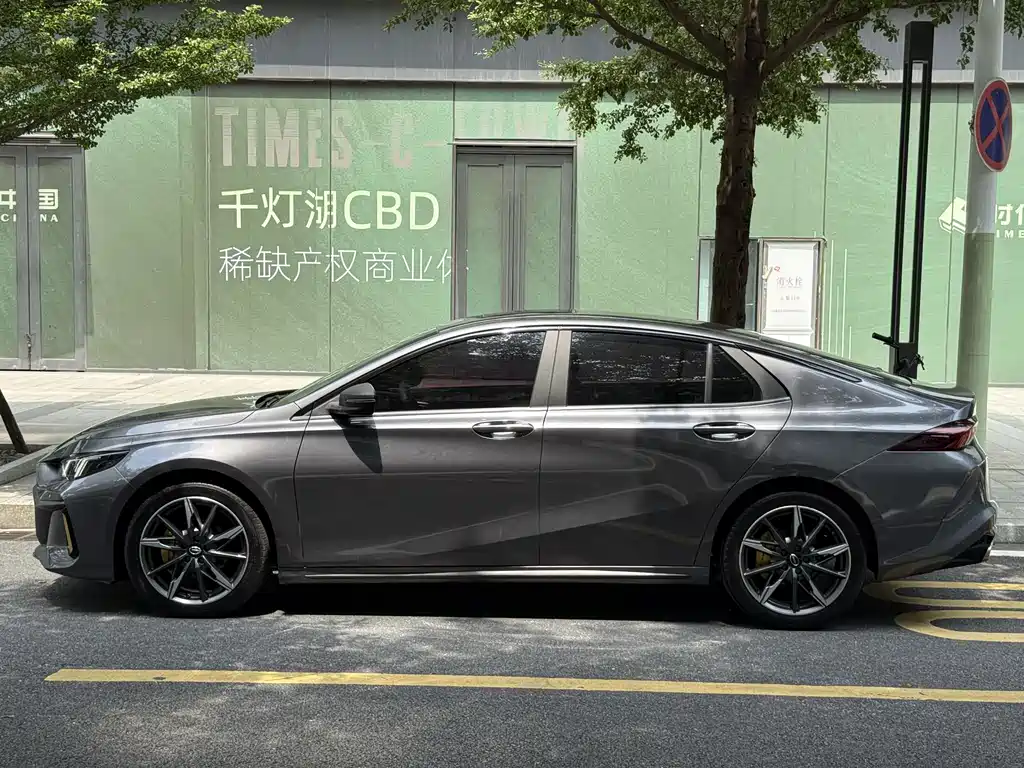 GAC Motor Shadow Leopard 2024 — фото 16