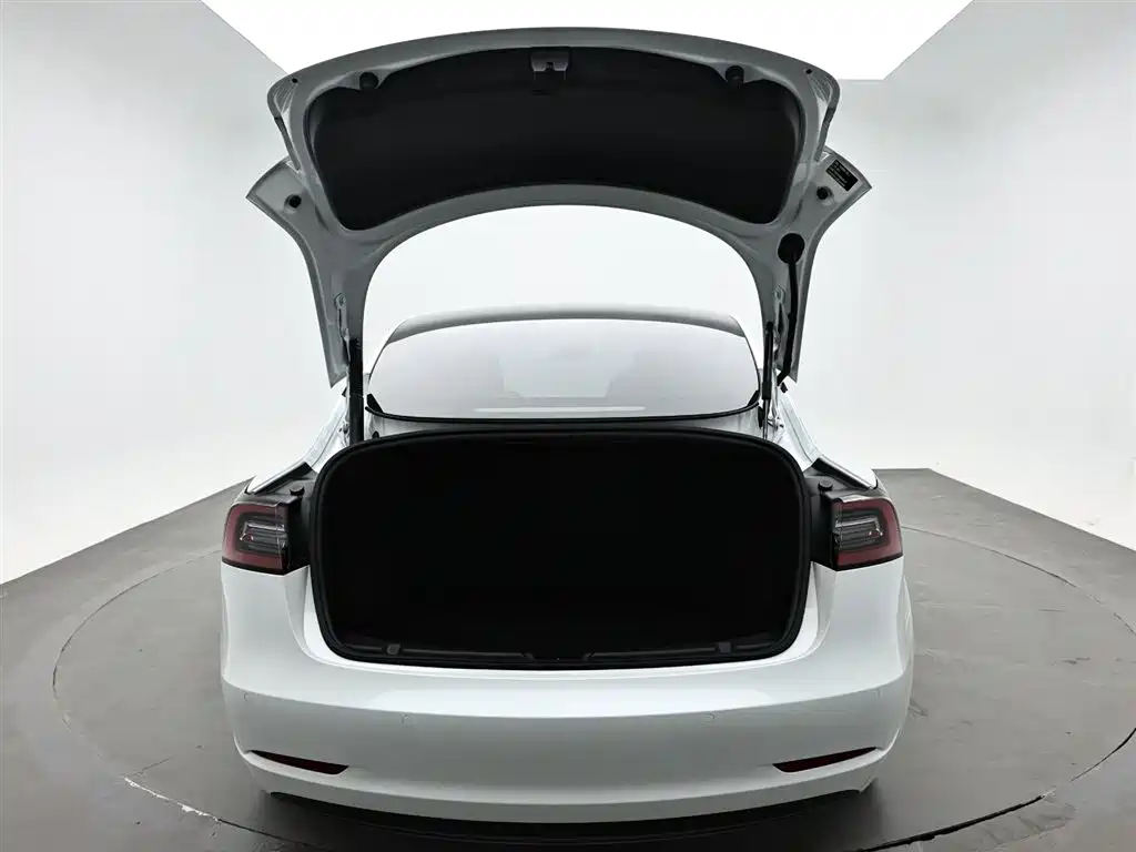 Tesla Model 3 2021 — фото 9