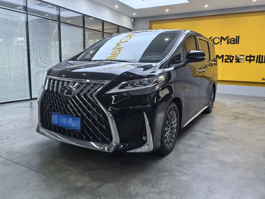Lexus LM 2020 — фото 17