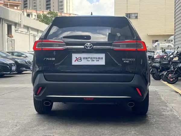 Toyota Wildlander 2020