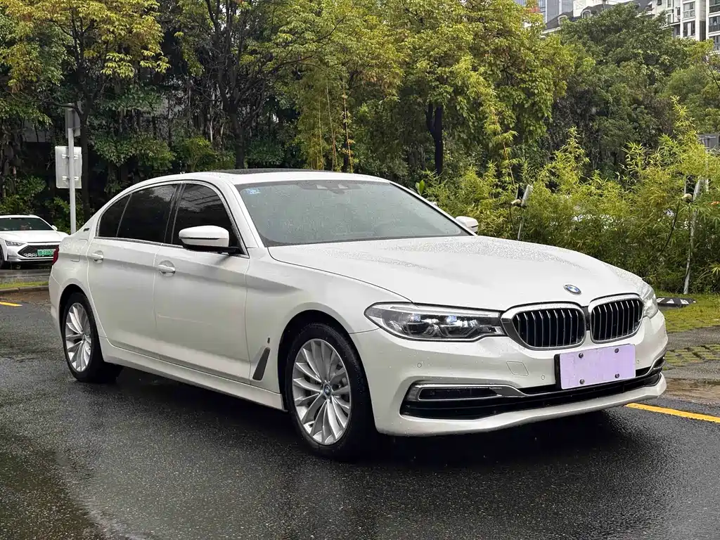 BMW 5 Series New Energy 2020