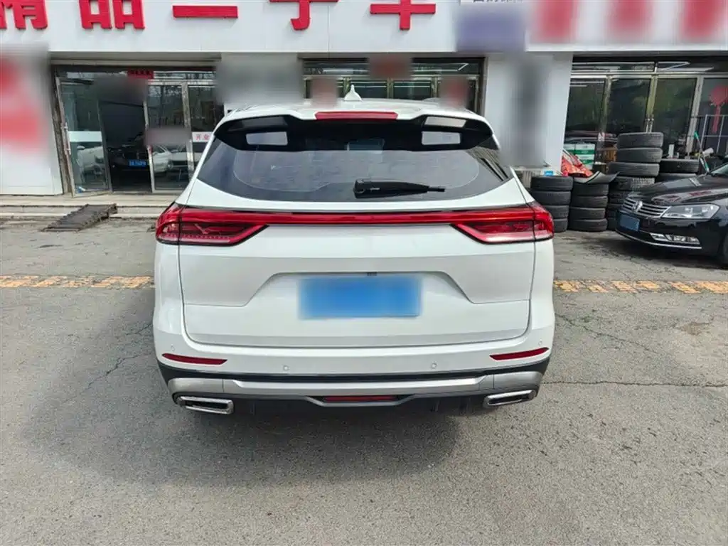 Haval H6 2021 — фото 13