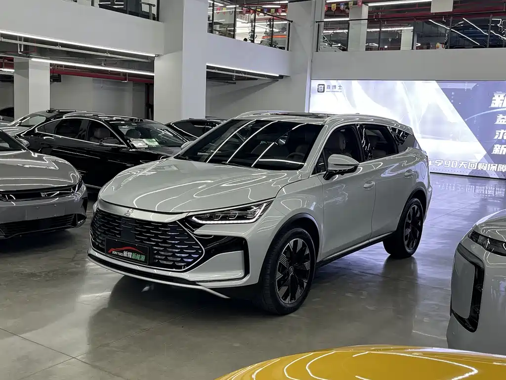 BYD Tang New Energy 2024 — фото 1