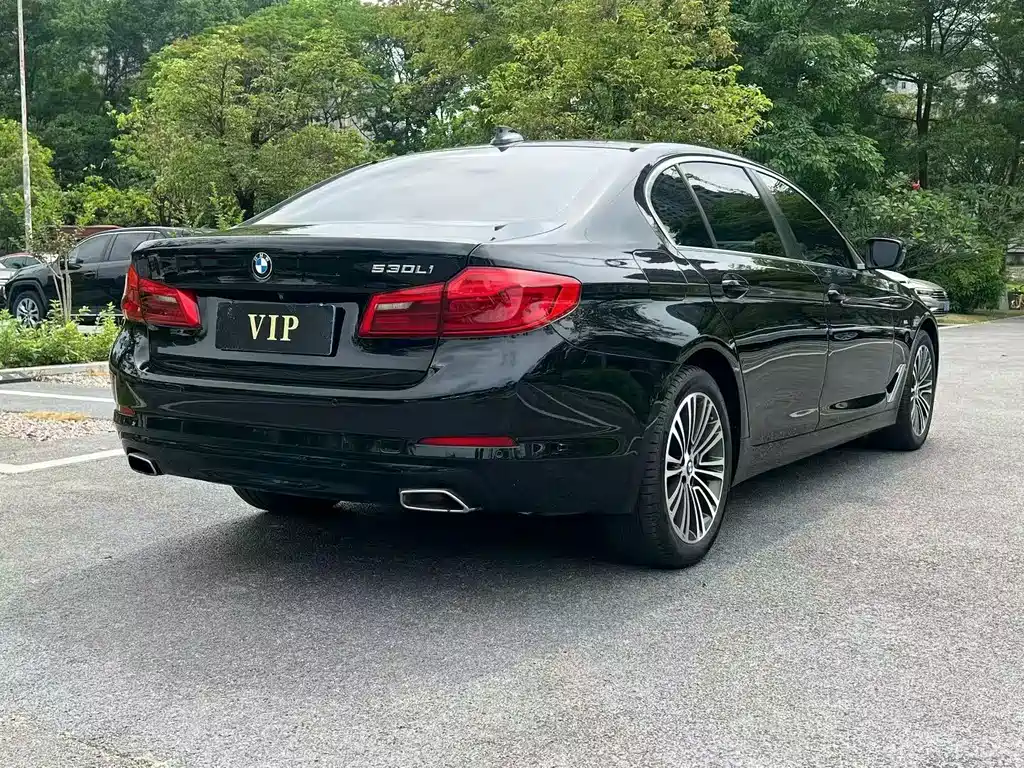 BMW 5 Series 2018 — фото 9