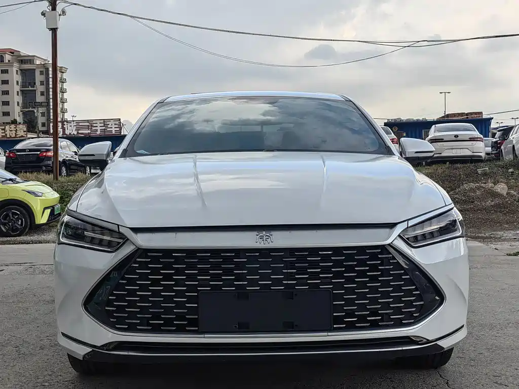 BYD Qin PLUS 2024 — фото 2