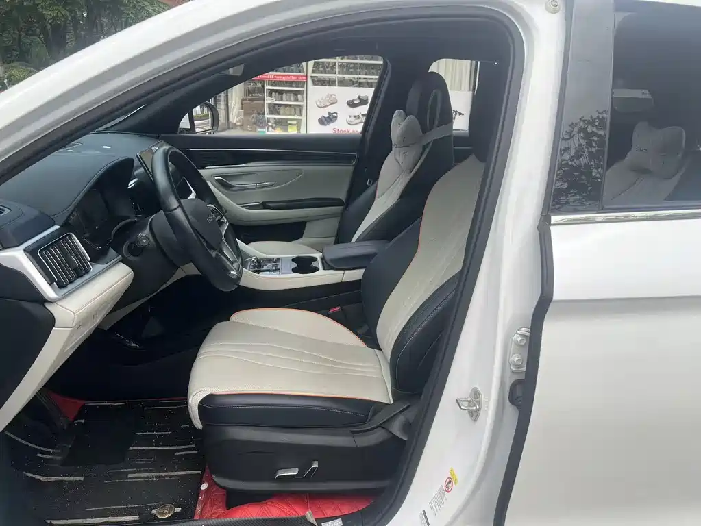BYD PLUS New Energy 2023 — фото 4