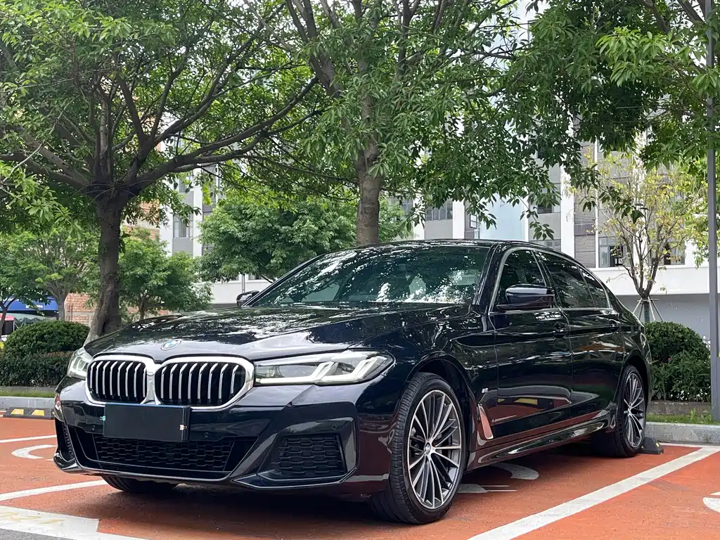 BMW 5 Series 2020 — фото 1