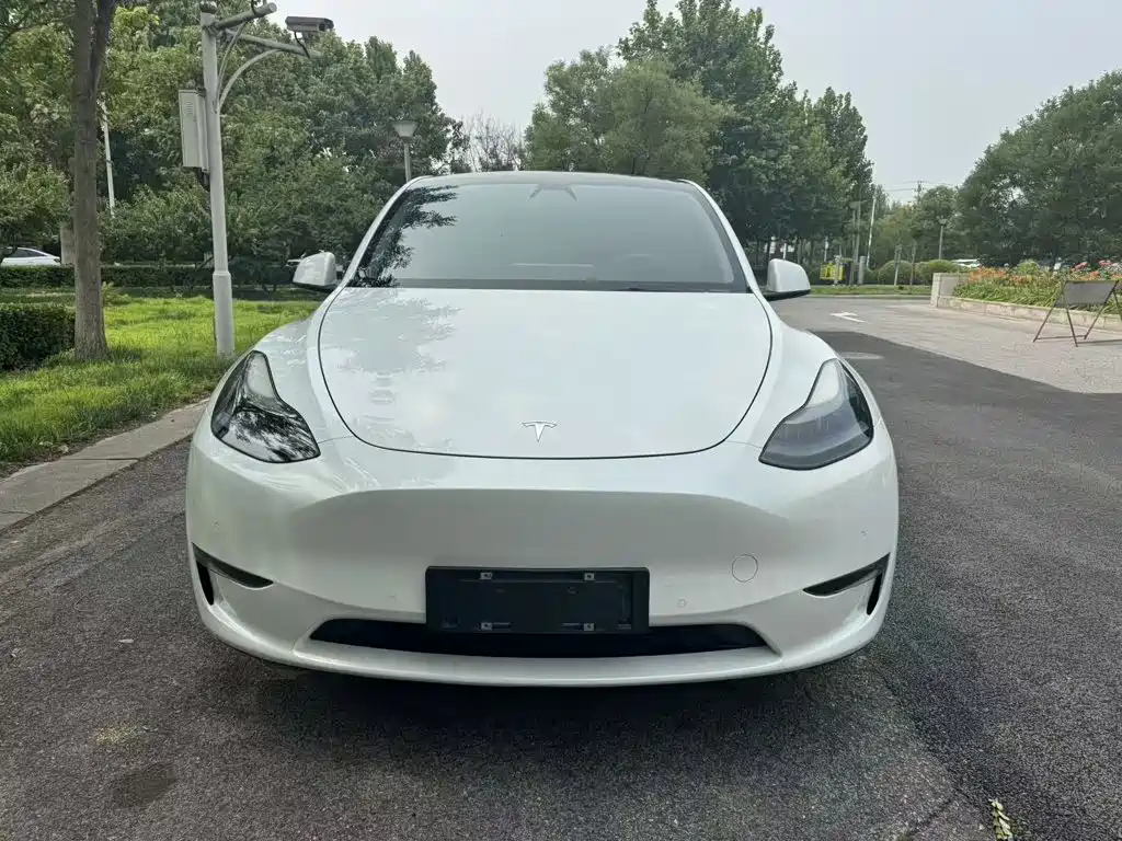 Tesla Model Y 2021 — фото 3