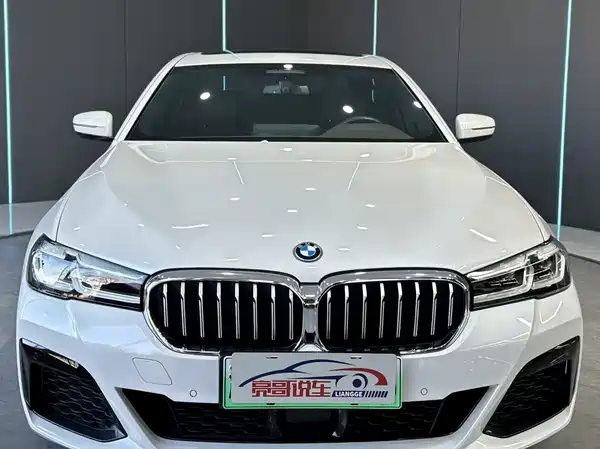 BMW 5 Series New Energy 2022