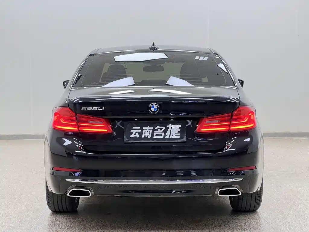 BMW 5 Series 2019