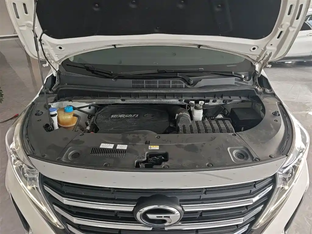 GAC Motor Trumpchi M8 2021 — фото 20