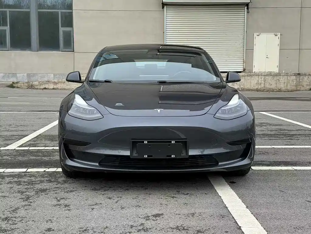 Tesla Model 3 2021 — фото 2