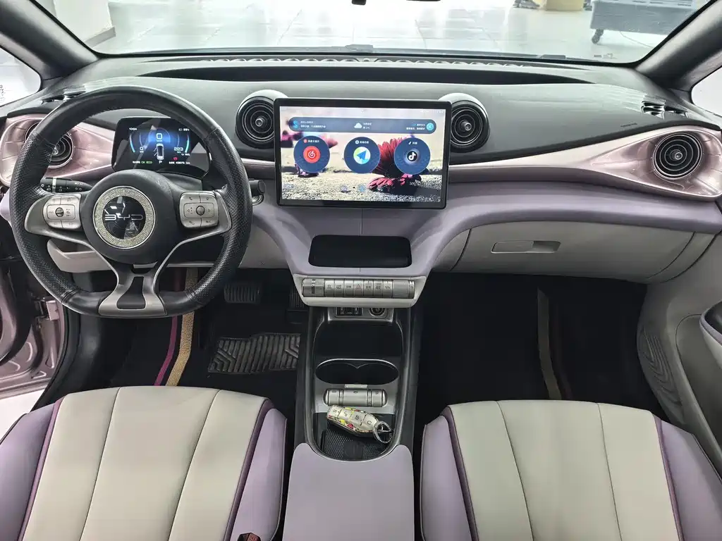 BYD Dolphin 2022