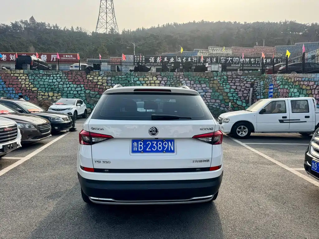 Skoda Kodiaq 2017 — фото 8