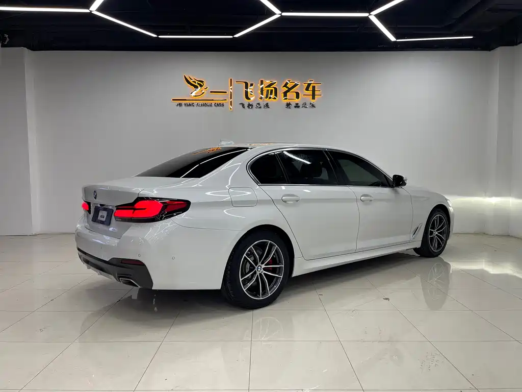 BMW 5 Series New Energy 2021 — фото 17