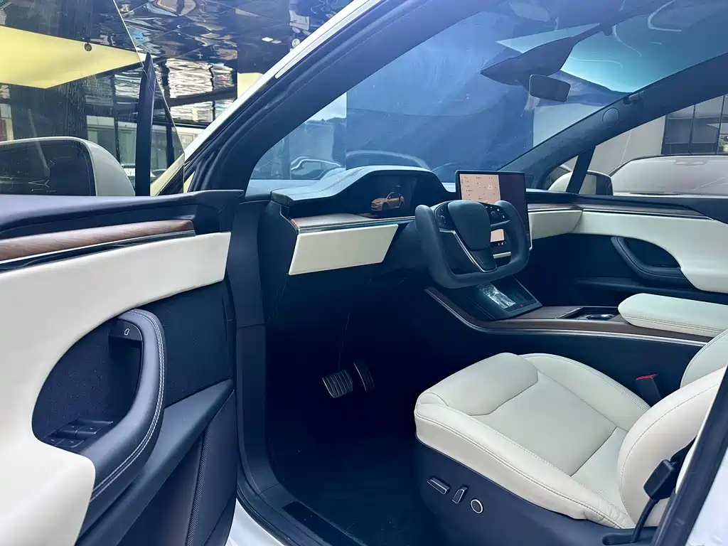 Tesla Model X 2023 — фото 4