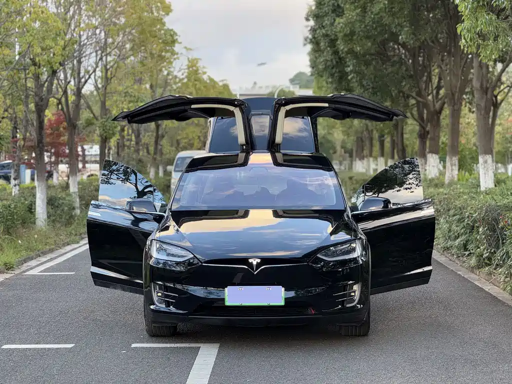 Tesla Model X 2018 — фото 18