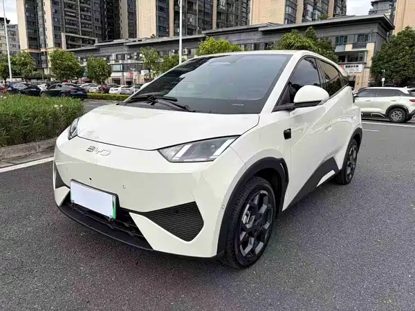 BYD Seagull 2025