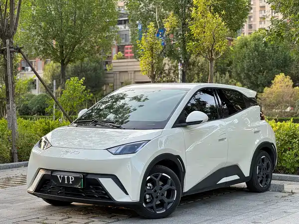 BYD Seagull 2025