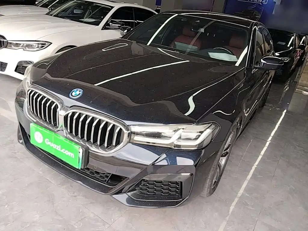 BMW 5 Series New Energy 2022