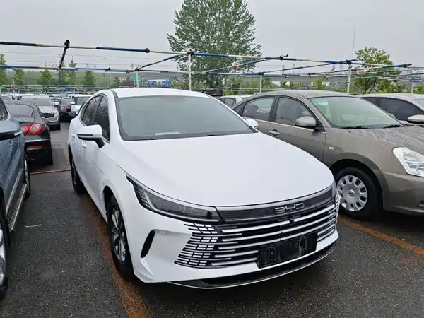 BYD Destroyer 05 2024
